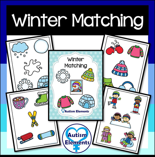 Winter Picture Matching- Winter- Autism & SPED Resources